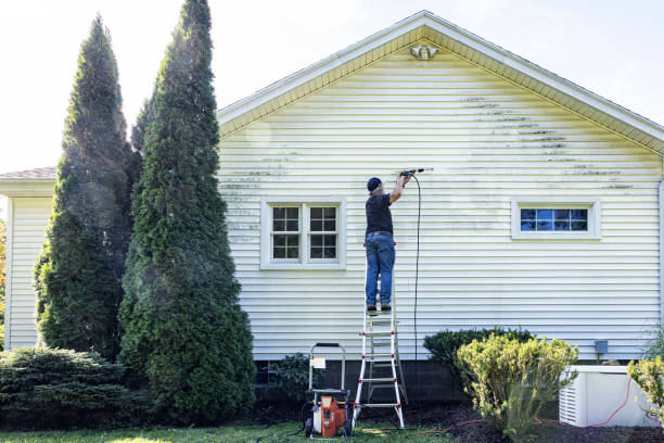 Best Patio and Deck Pressure Washing  in Peralta, NM
